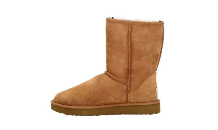 STIVALI CLASSIC SHORT II BEIGE
